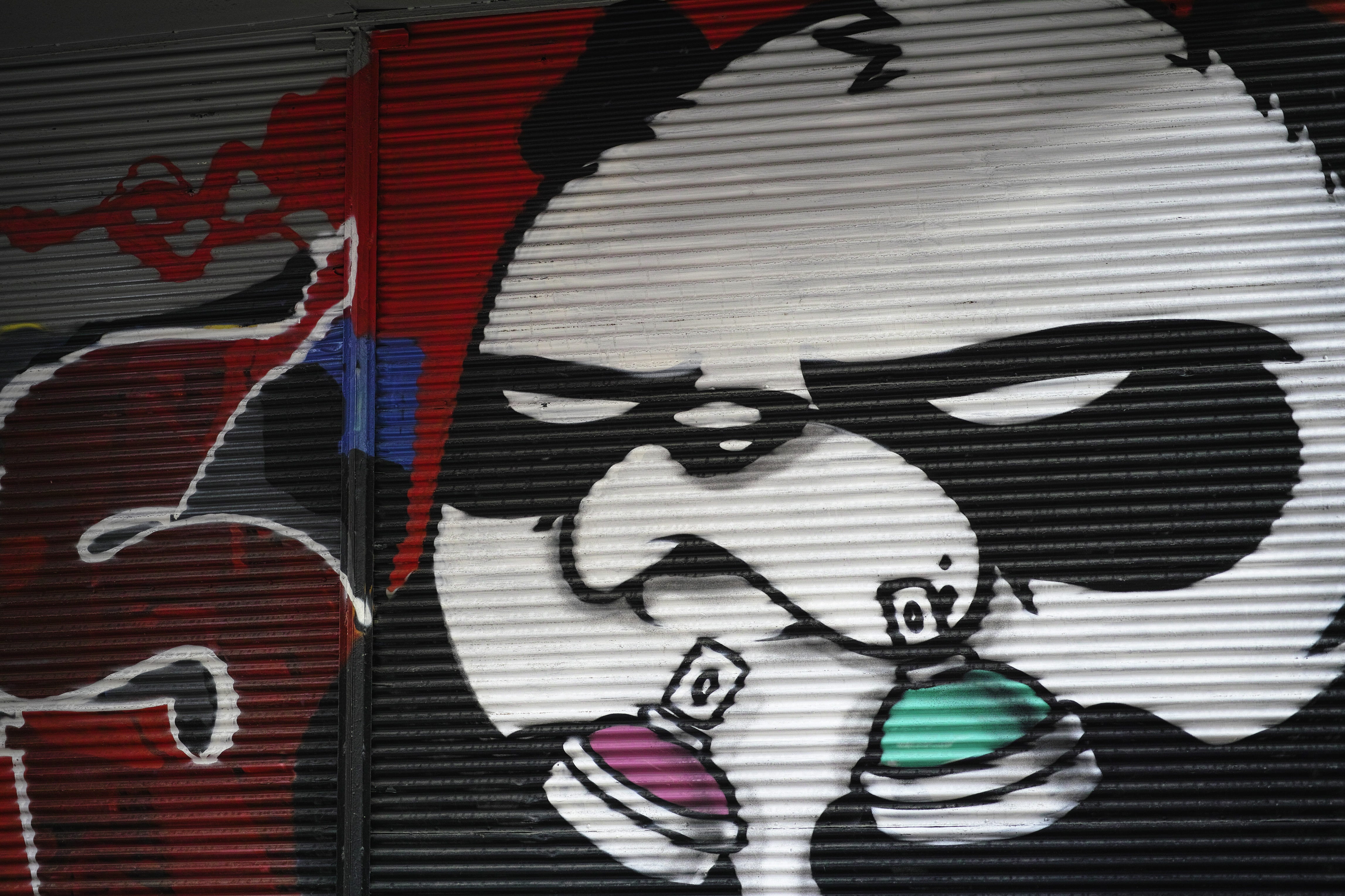 graffiti, art, artist, paint, pictures, conceptual, background, wall, free download
