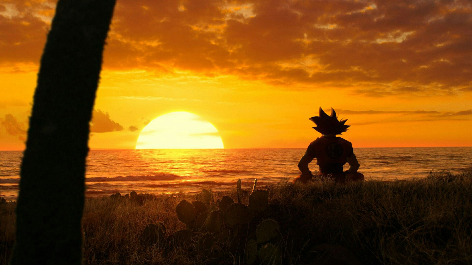 dbz, dragon ball z, goku, dragon ball super, anime, chill, midatation 1536x864px (720P) free download